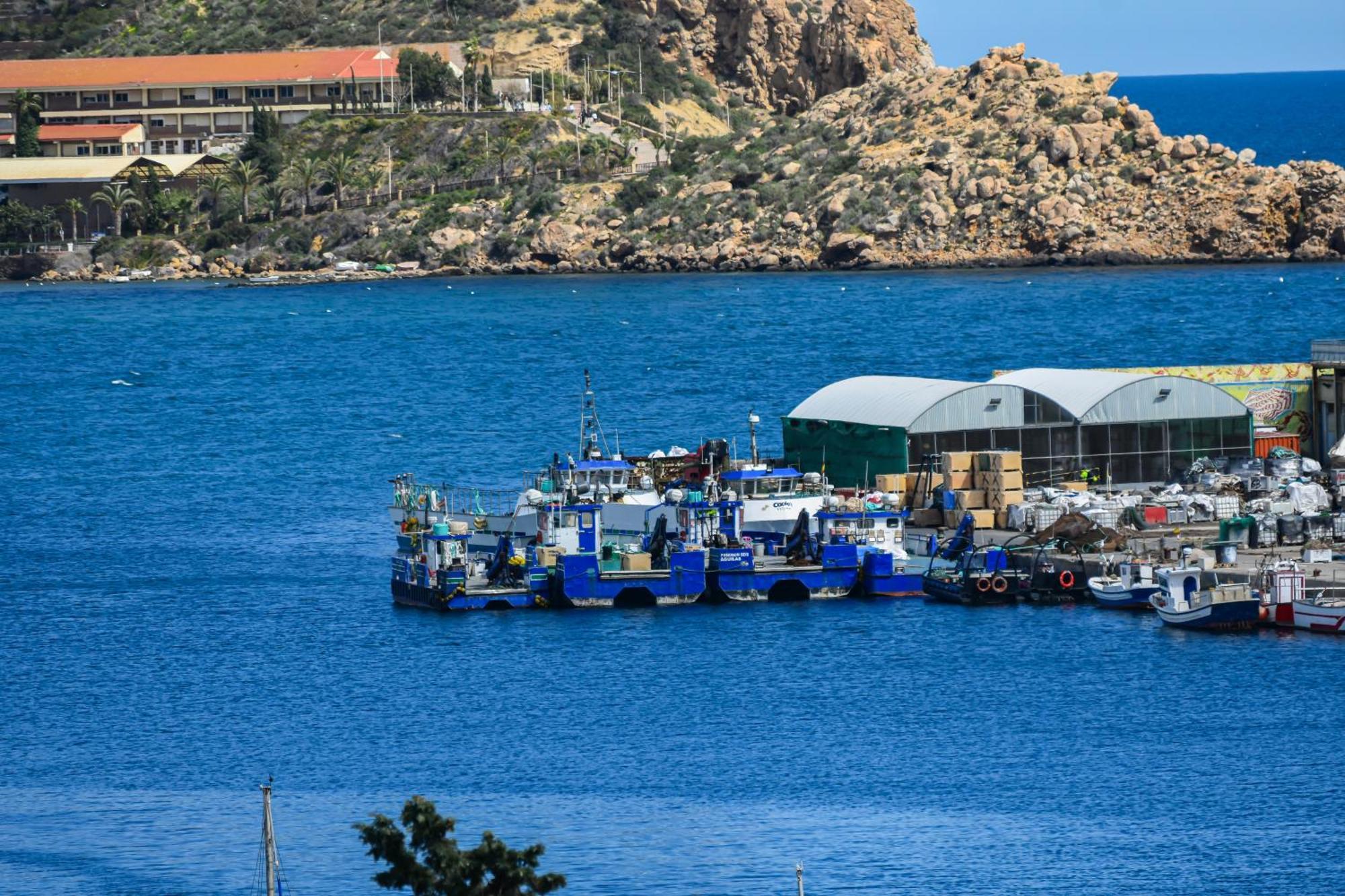 Dream View Aguilas - By Aloha Palma Экстерьер фото